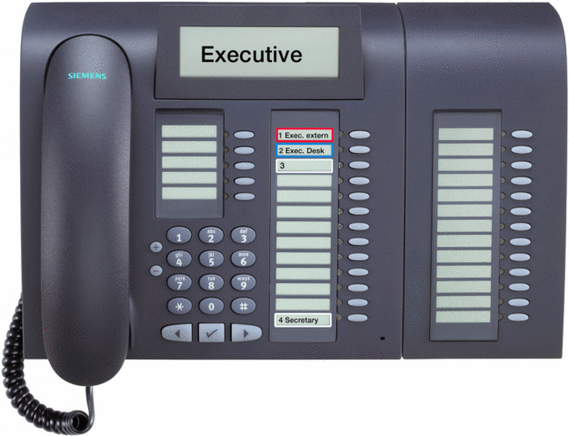 File:CHESE exec small.gif